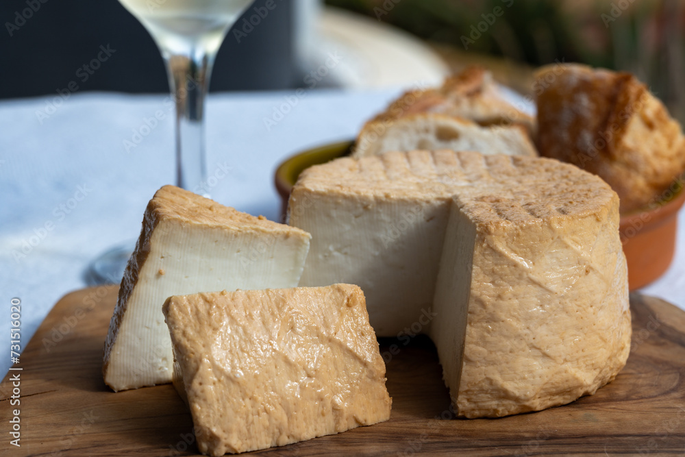 Cheese collection, piece of fresh smoked Spanish goat cheese close up Cheese collection, piece of fresh smoked Spanish goat cheese close up