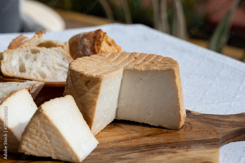 Cheese collection, piece of fresh smoked Spanish goat cheese close up Cheese collection, piece of fresh smoked Spanish goat cheese close up