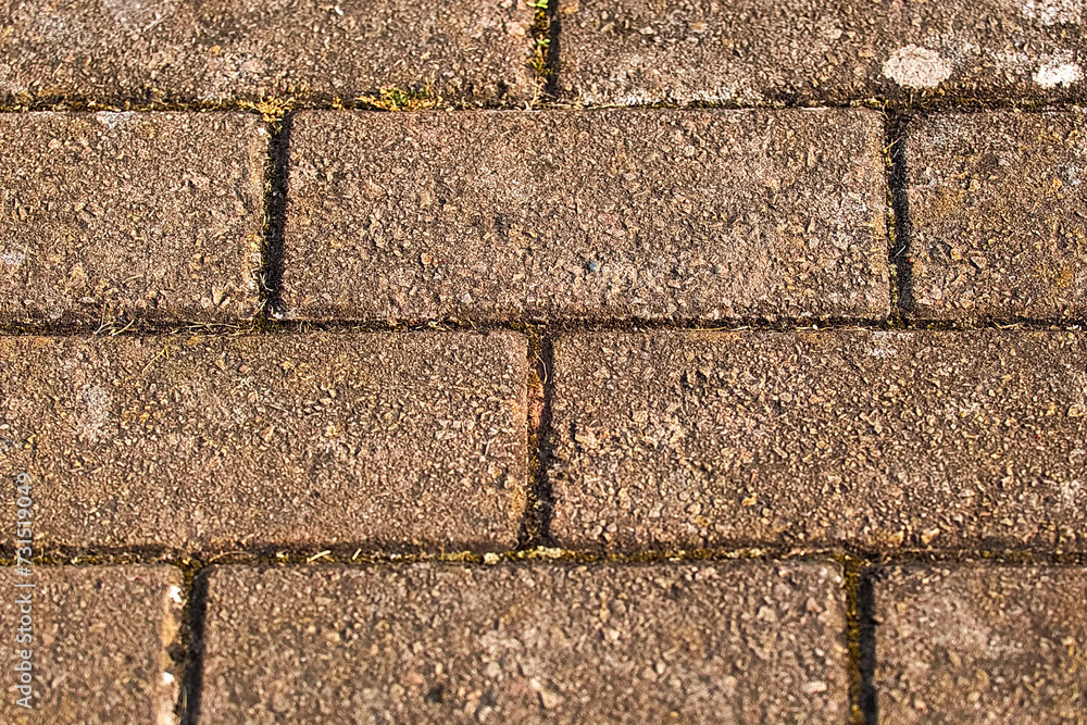 Fototapeta premium path