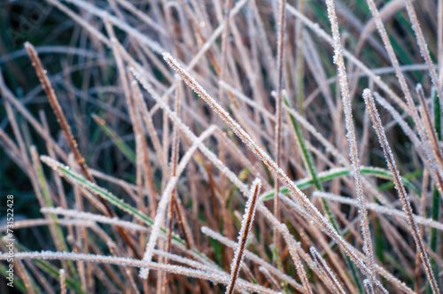 Macro shot of white frost crystals on dry autumn grass, meadow scene, chilly morning mood