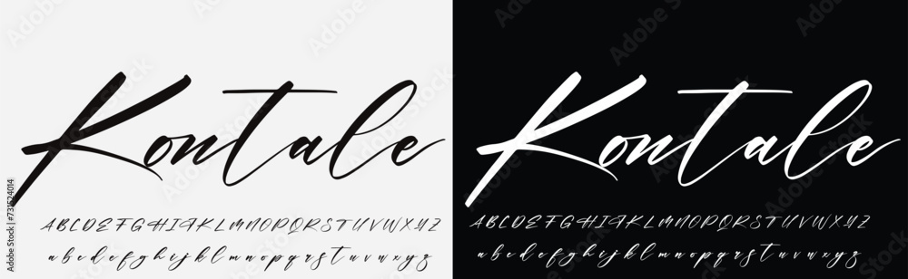 signature Font Calligraphy Logotype Script Brush Font Type Font ...