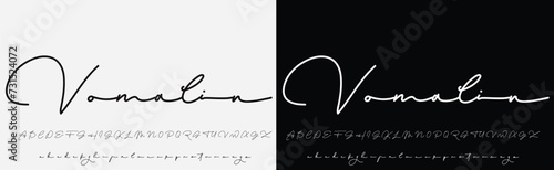 signature Font Calligraphy Logotype Script Brush Font Type Font lettering handwritten