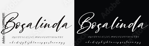 signature Font Calligraphy Logotype Script Brush Font Type Font lettering handwritten