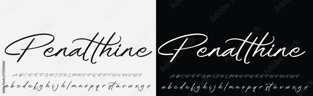 Signature Font Calligraphy Logotype Script Brush Font Type Font lettering handwritten - obrazy, fototapety, plakaty 