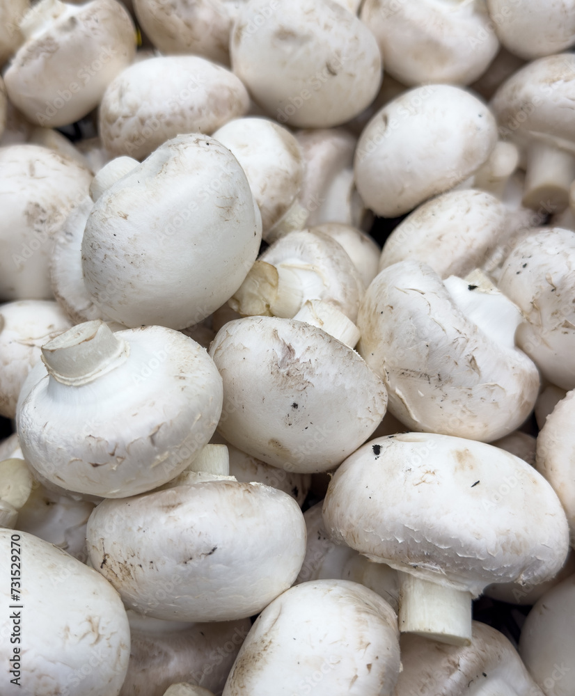 Champignon mushrooms on the counter in the market