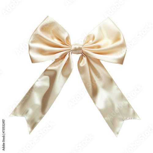 Bow, isolated object, transparent background.