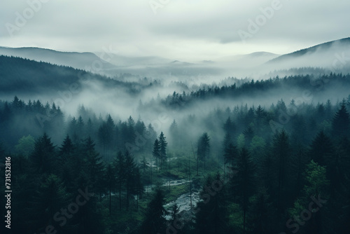 Top view of Normandy spruce forest in thick morning fog. Generated by artificial intelligence