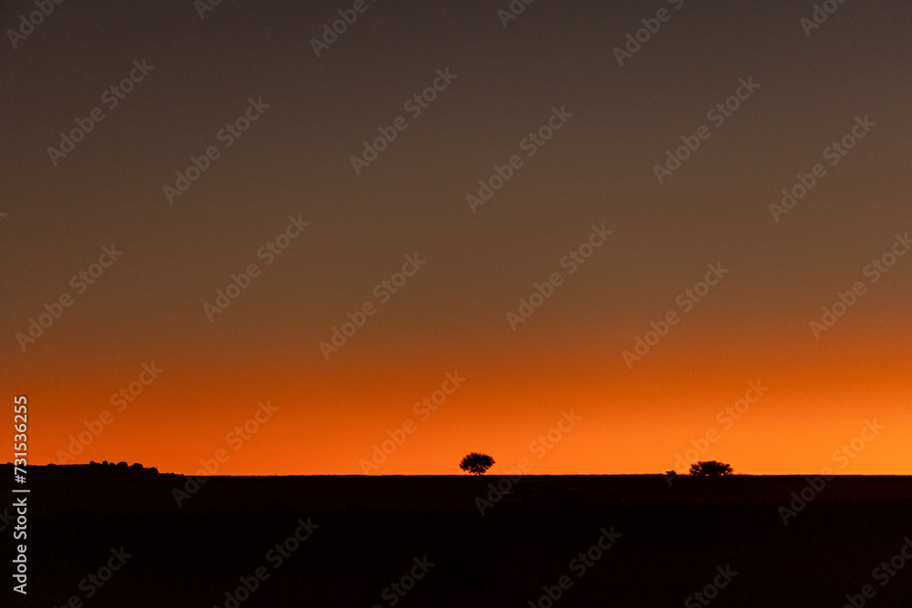 African silhouette sunset with lonely tree. African silhouette sunset with lonely tree.