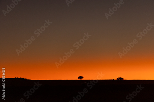 African silhouette sunset with lonely tree.