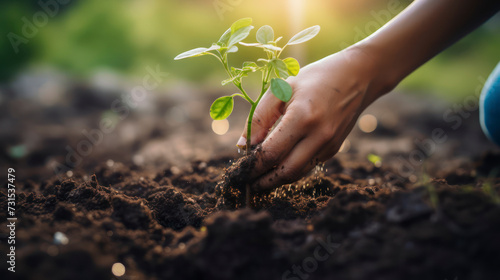 Organic Vegetable Garden: Hand Planting Seedling in Green Landscape. Generative AI