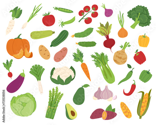 Big set of vegetables in flat style isolated on white background.