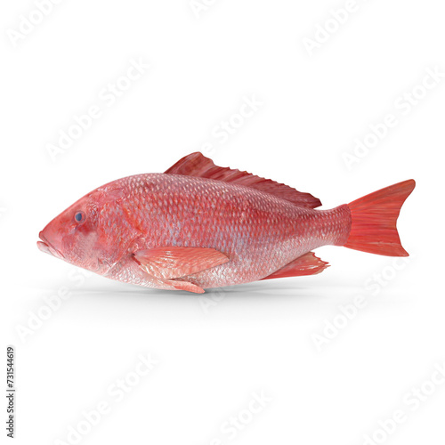 Red Snapper Fish PNG