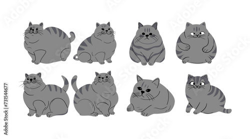 collection of vector illustrations of cute fat cats