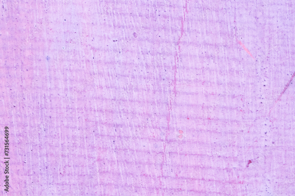 Fototapeta premium Abstract texture background. Light pink scratched thin wooden planks. Wood texture pattern. Use is house wall for background or website wallpaper. Can be used as model. 