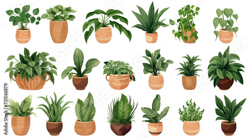 Set of houseplants isolated on white background