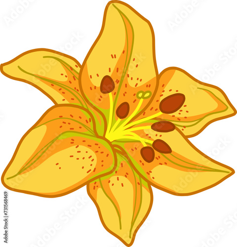 Yellow Citronella Lily Flower Vector Clipart Illustration