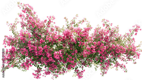 imagine bush of flowers isolated on transparent background #731571889