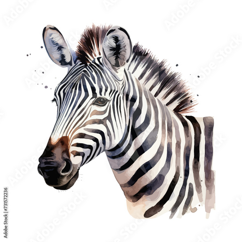 Zebra watercolor. Vector illustration design.