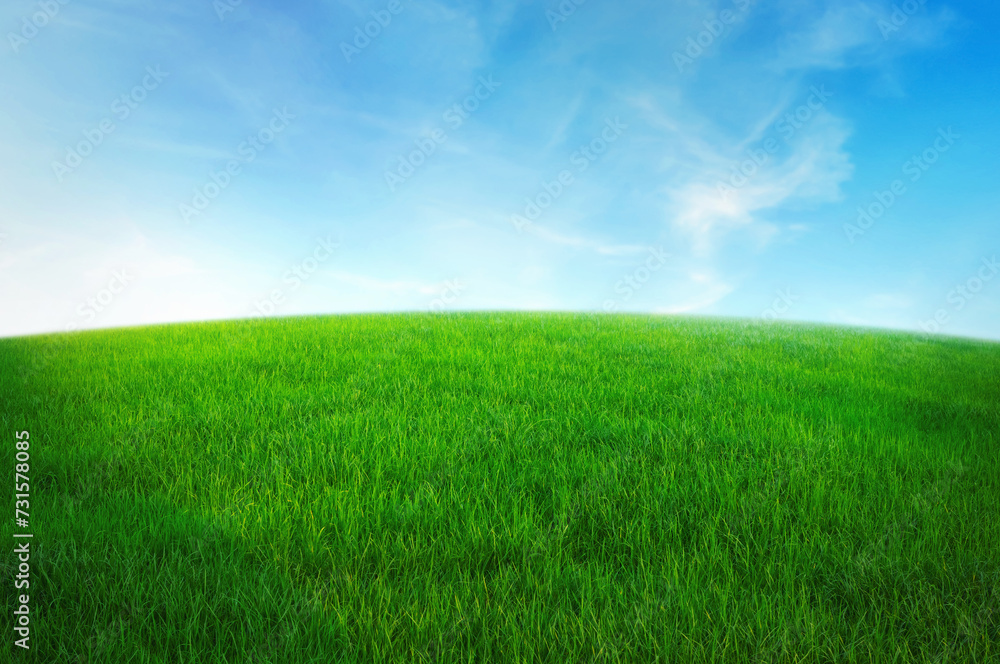 Fototapeta premium green grass field with blue sky ad white cloud. nature landscape background