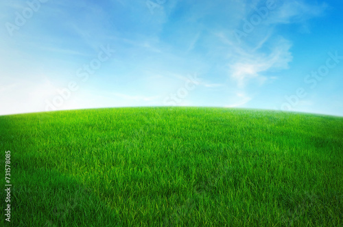 green grass field with blue sky ad white cloud. nature landscape background