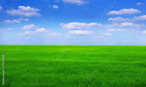 green grass field with blue sky ad white cloud. nature landscape background © lovelyday12