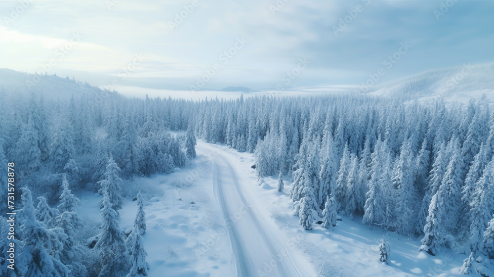 Obraz premium Overhead view of a road through a snow covered landscape