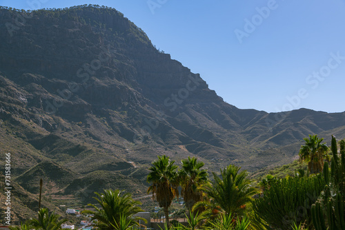 View Into The Barramco De Tocodoman