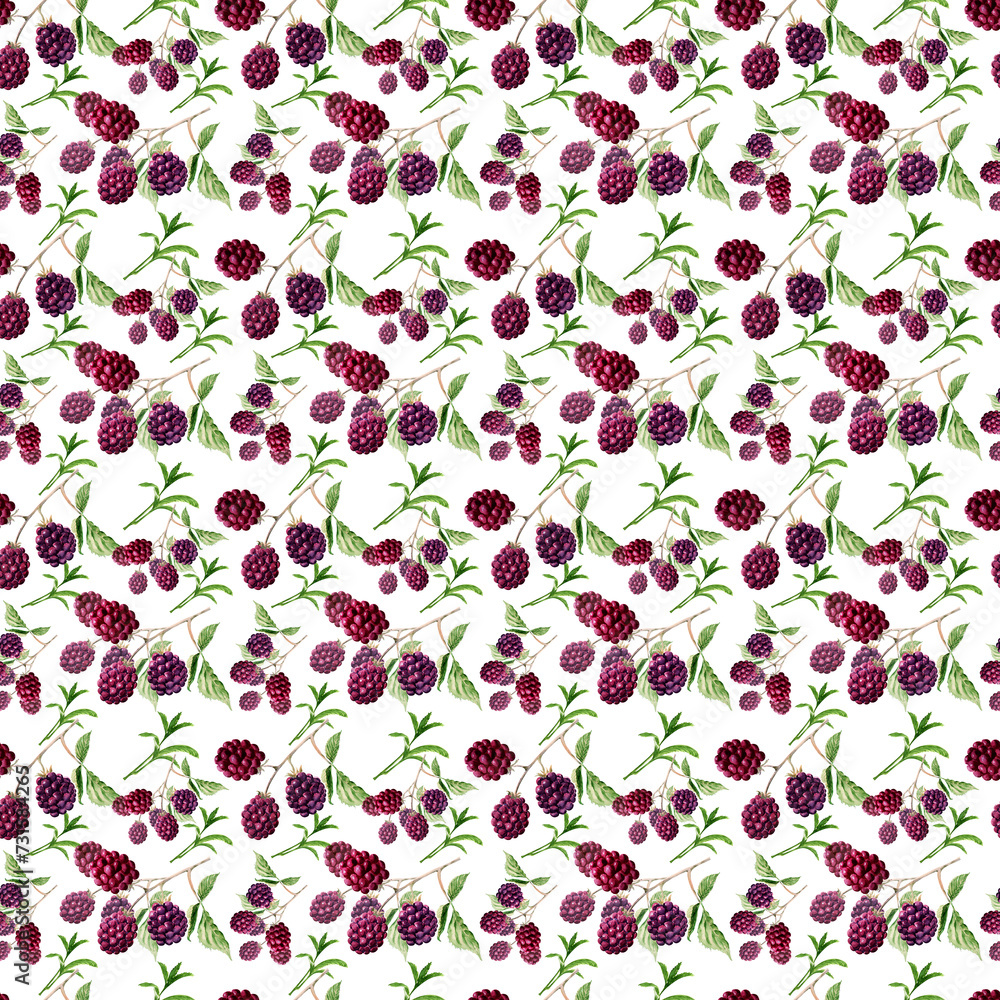 Watercolor seamless pattern with twigs, fruits and leaves of blackberries and raspberries Watercolor seamless pattern with twigs, fruits and leaves of blackberries and raspberries