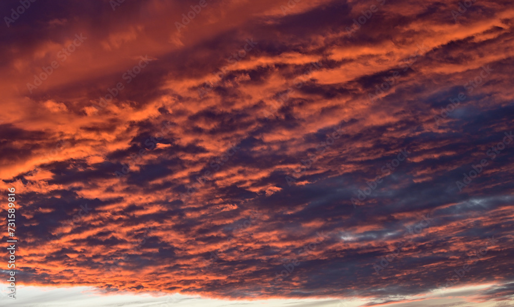 Naklejka premium dramatic Red clouds for pattern background. A burning sky in a horror movie. crimson storm in apocalyptic, judgment day.