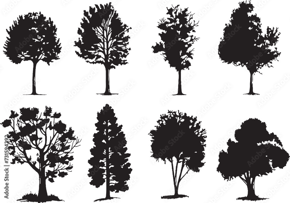 Fototapeta premium Set Trees. Hand drawn vector illustration 