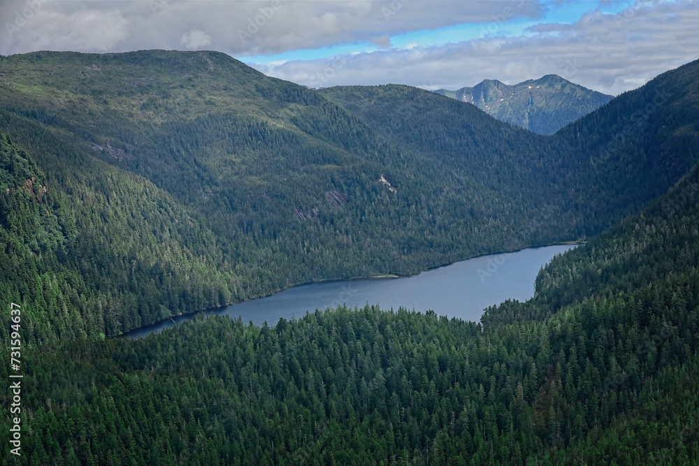Aerial view on the wilderness in Alaska with trees and a river Aerial view on the wilderness in Alaska with trees and a river