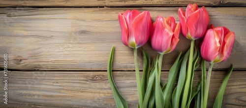 Valentine's Day tulips against wooden backdrop with horizontal placeholder for advertising, blooming tulips on right.