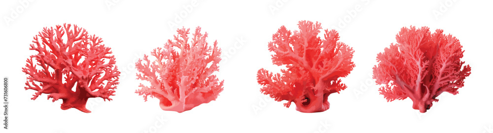 Red coral vector set isolated on white background