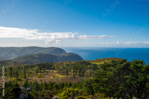 forest and sea with human impact