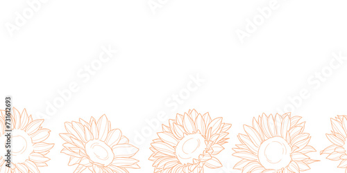 Sunflower vector border, seamless repeating line art floral banner design isolated