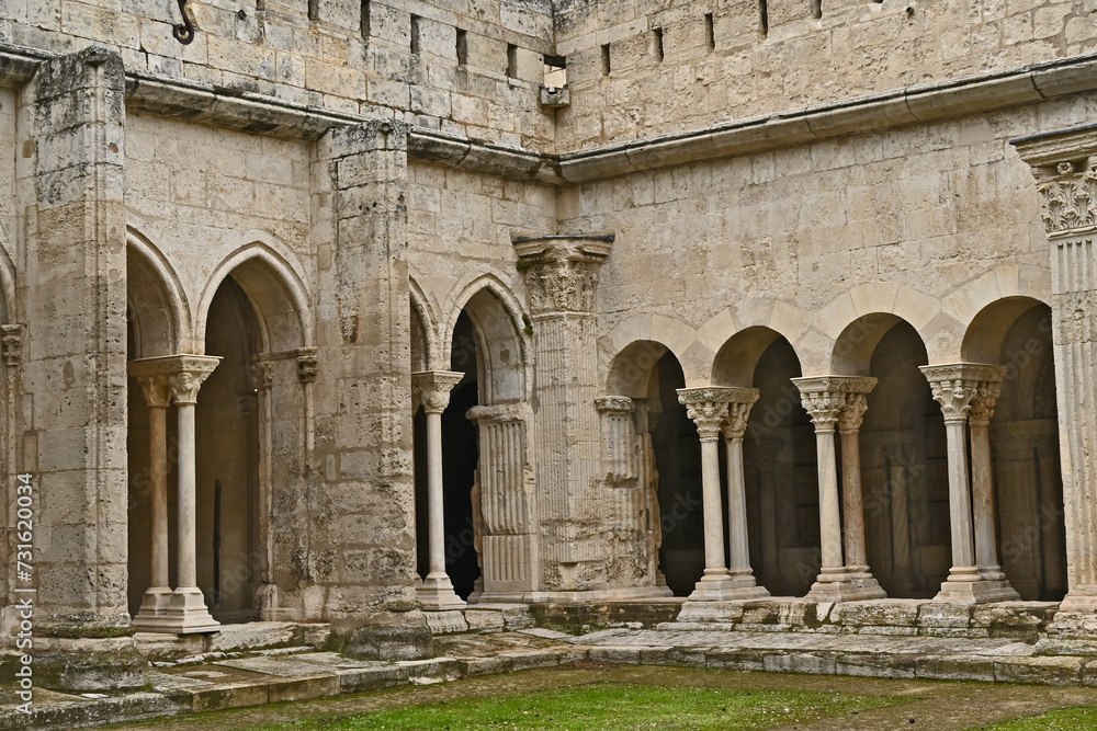 Arles, il chiostro della Cattedrale di Saint-Trophime - Provenza, Francia	