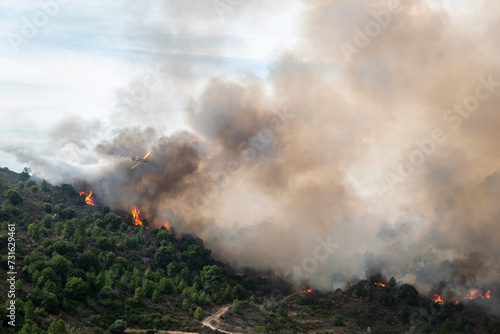 Missão crítica no céu: Avião de combate a incêndios enfrenta devastador inferno florestal sob uma cortina de fumaça