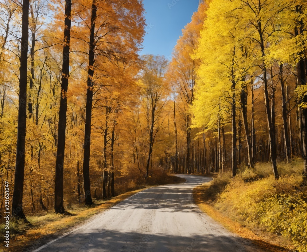 a road in the middle of a forest with yellow trees on both sides autumn season