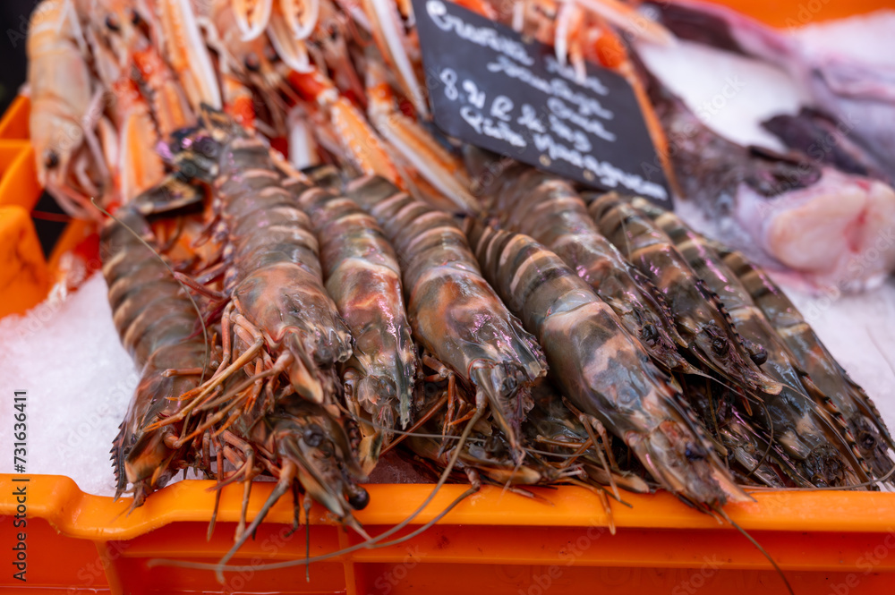 Assortment of fresh daily catch of prawns, shrimps, fishes, seashells, molluscs on ice on fish market in France Assortment of fresh daily catch of prawns, shrimps, fishes, seashells, molluscs on ice on fish market in France
