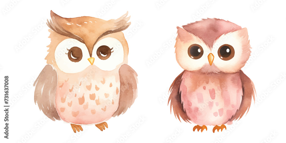 Fototapeta premium cute owl vector watercolor illustration