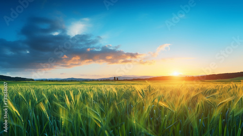 field with sunrise and blue sky at sunrise © Yuwarin
