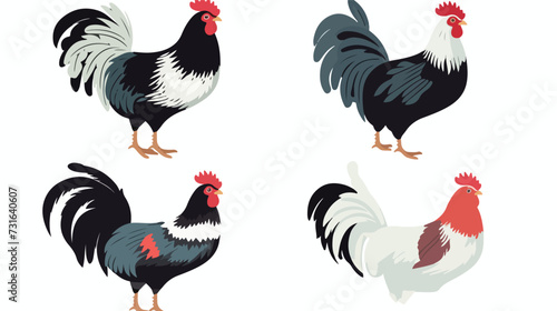 Chickens Set Vector Illustration In Color.
