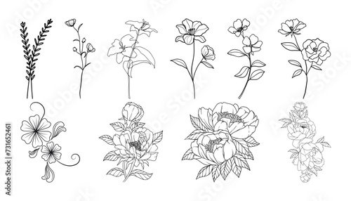 Set of hand drawn botanical flowers line art vector. Collection of foliage  leaf branches  floral  flowers  roses  and line art.
