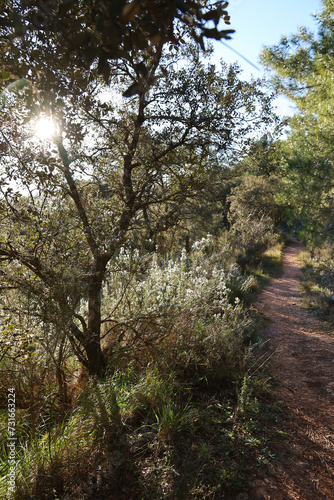 Beautiful landscape near the Nacimiento del Rio Mundo in Albacete, Spain