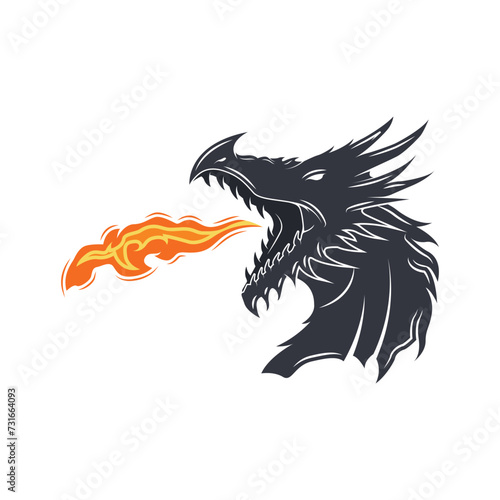 dragon fire logo vector icon illustration design.