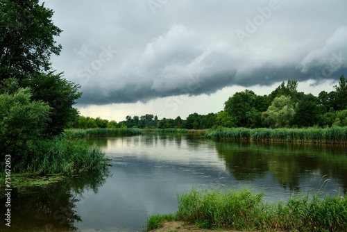 River surrounded by trees on a cloudy day