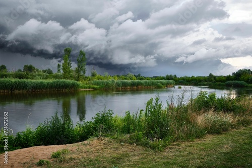 Fototapeta Naklejka Na Ścianę i Meble -  River surrounded by trees on a cloudy day