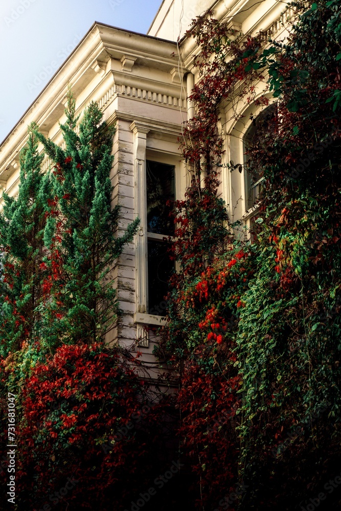 Vertical of a beautiful building with the walls covered with plants and flowers for decoration