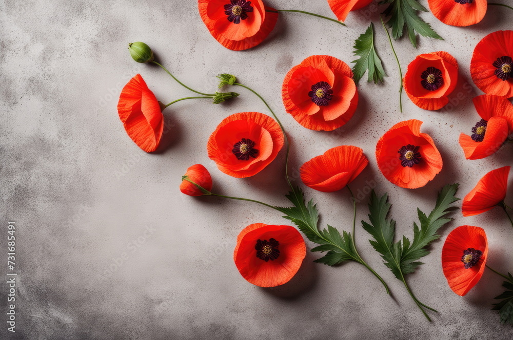 Vibrant Poppies on Concrete Background Vibrant Poppies on Concrete Background
