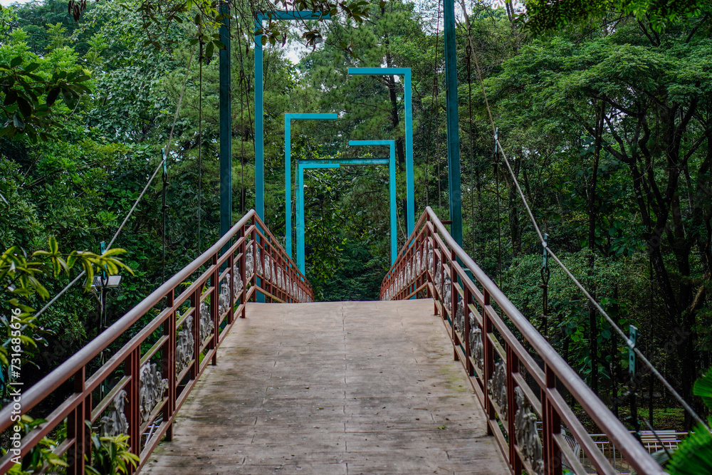 looks beautiful from the suspension bridge in the city park, Landscape of a green suspension bridge in the rain forest. looks beautiful from the suspension bridge in the city park, Landscape of a green suspension bridge in the rain forest.